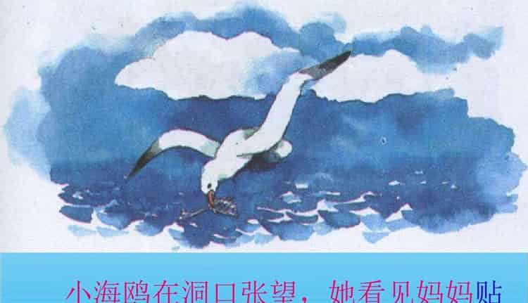 海上气象员
