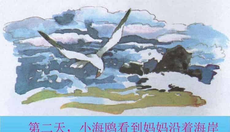 海上气象员