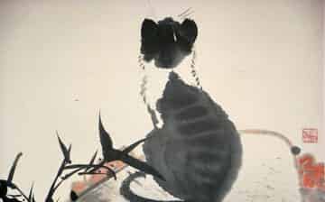 画猫