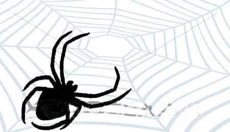 花蜘蛛道歉 花蜘蛛道歉