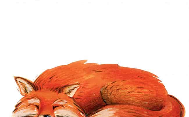 坏狐狸，好狐狸