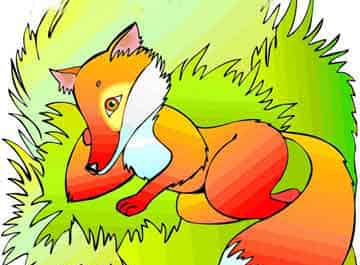 两只狐狸