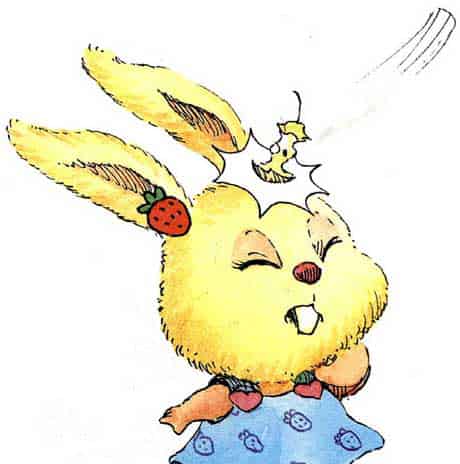 呼噜猪|谁扔的垃圾 呼噜猪|谁扔的垃圾