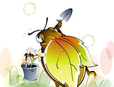 害羞的小甲虫 害羞的小甲虫