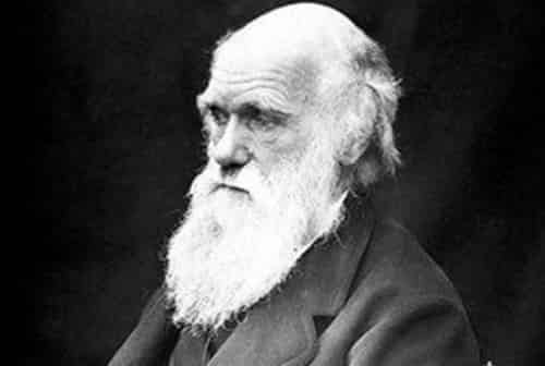 英国生物学家：达尔文，达尔文《物种起源》的意义