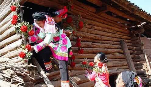 彝族的插花节是什么时候，它是怎么来的