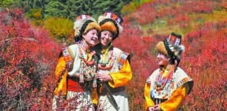 藏族民歌，藏族的民歌主要有几类有什么特点