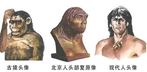 山顶洞人蓝田人是中国人的祖先吗，不是中国人祖先他们是灭绝的