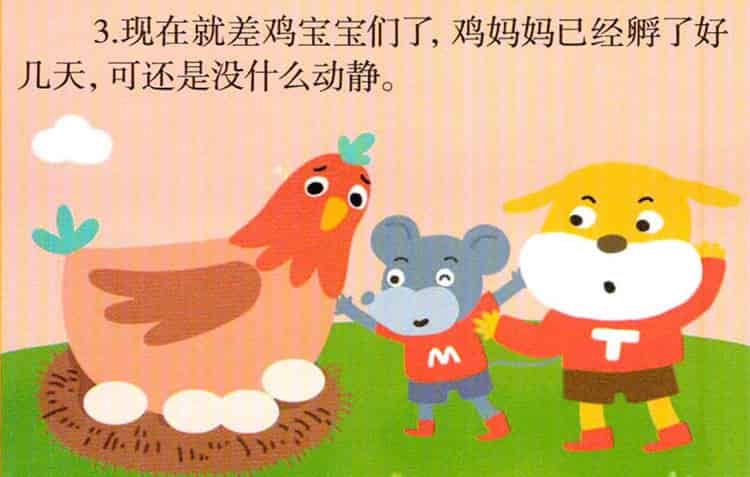 鸡宝宝出生了