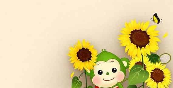 金灿灿的向日葵