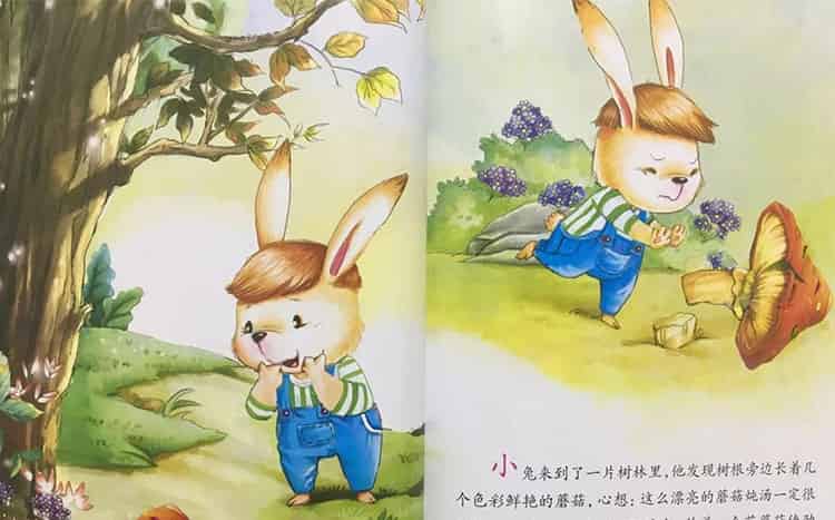 坚持尝试的小兔