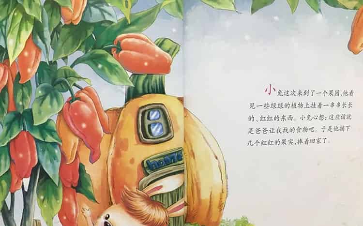 坚持尝试的小兔