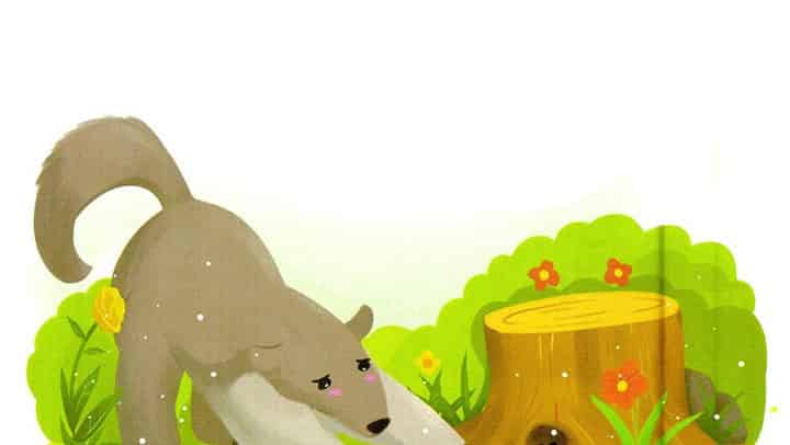 饥饿的小兽 饥饿的小兽