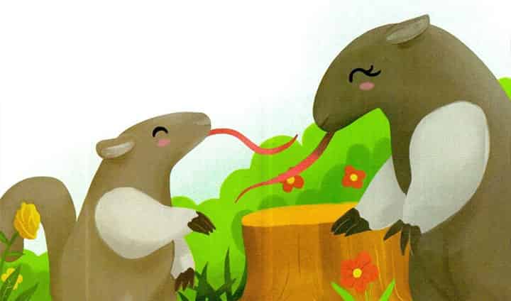 饥饿的小兽 饥饿的小兽