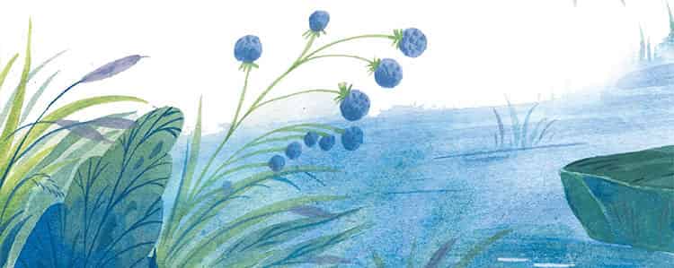 今晚的月亮不一样