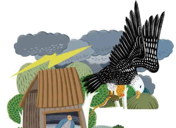 九爷与鹰的故事 九爷与鹰的故事