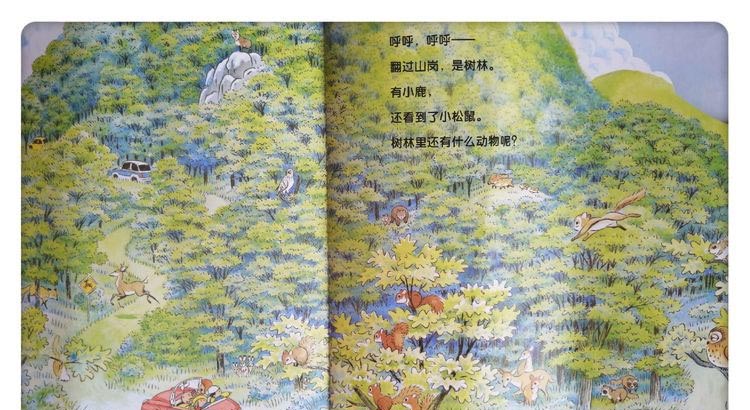 开车去兜风