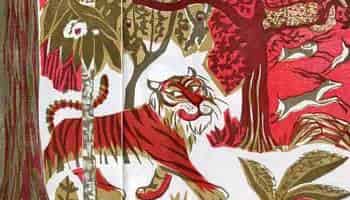 从前有一只老鼠