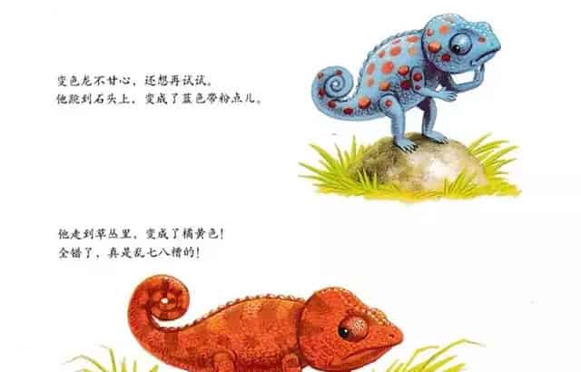 乱七八糟的变色龙