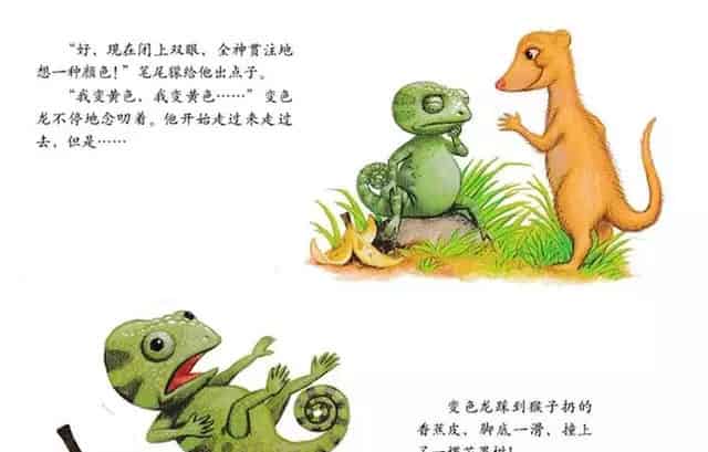 乱七八糟的变色龙