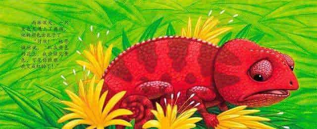 乱七八糟的变色龙