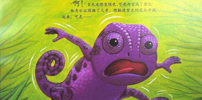 乱七八糟的变色龙