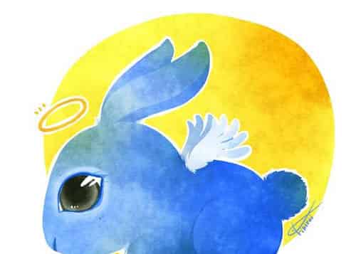 小兔子美美 小兔子美美