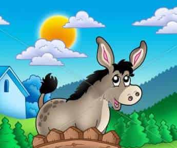 驴子的围墙