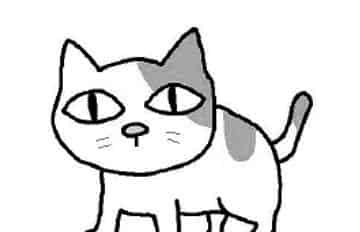 老婆婆的猫