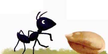 蚂蚁和麦粒