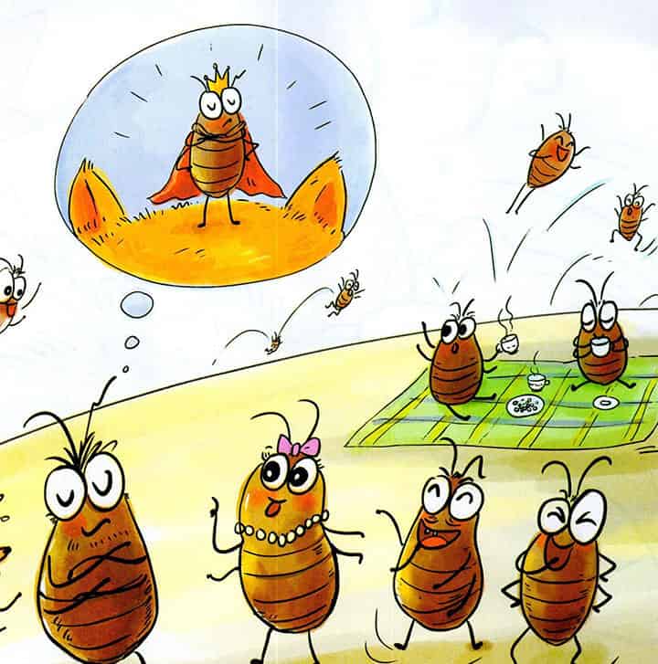 猫的后脑勺 猫的后脑勺