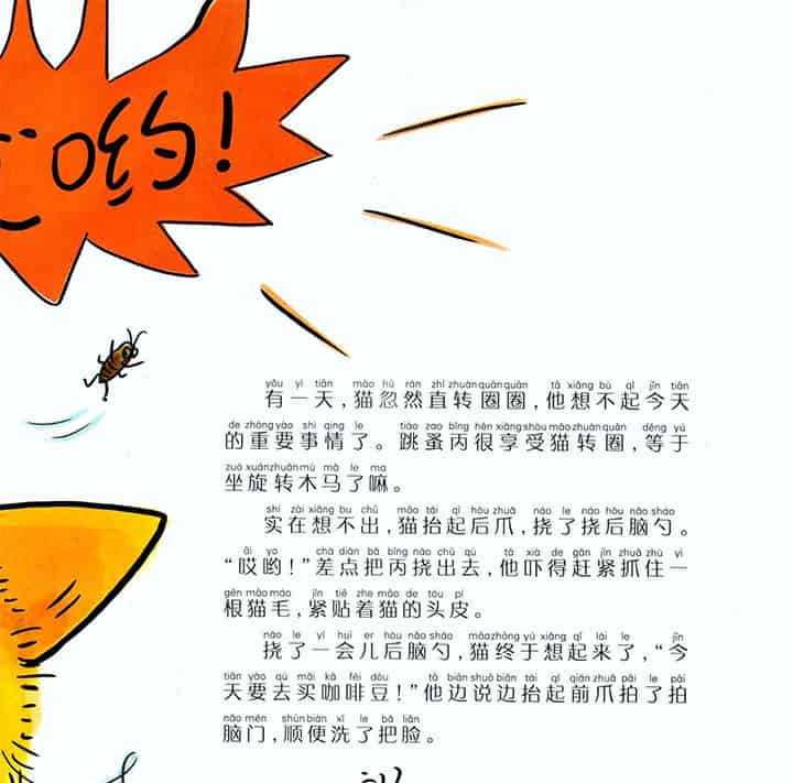 猫的后脑勺 猫的后脑勺