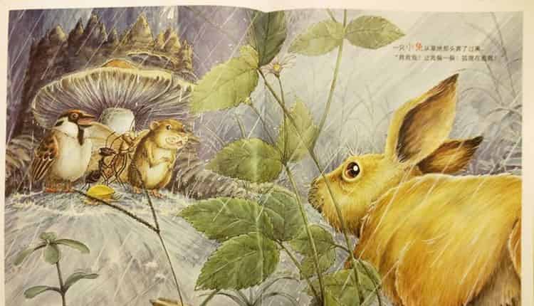 一个、两个、三个……蘑菇下躲雨