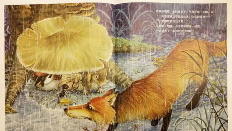 一个、两个、三个……蘑菇下躲雨