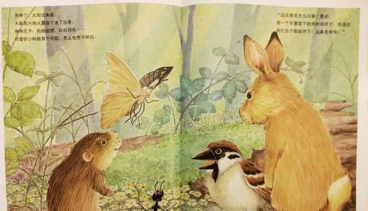 一个、两个、三个……蘑菇下躲雨