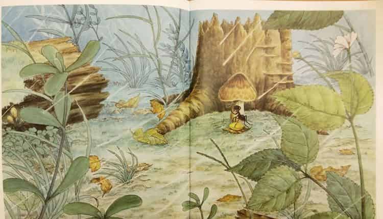 一个、两个、三个……蘑菇下躲雨