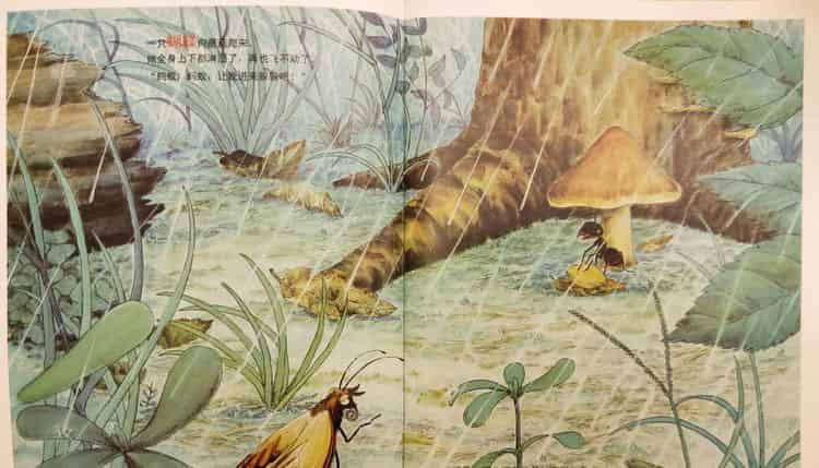 一个、两个、三个……蘑菇下躲雨