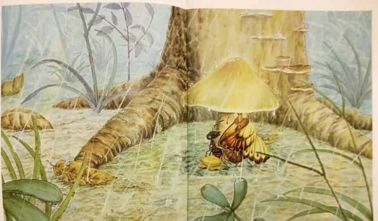 一个、两个、三个……蘑菇下躲雨