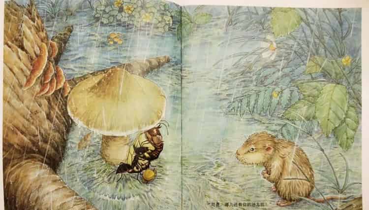 一个、两个、三个……蘑菇下躲雨