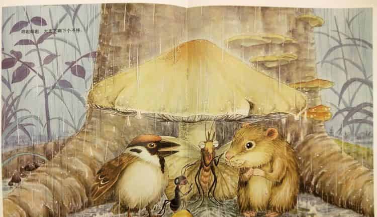 一个、两个、三个……蘑菇下躲雨