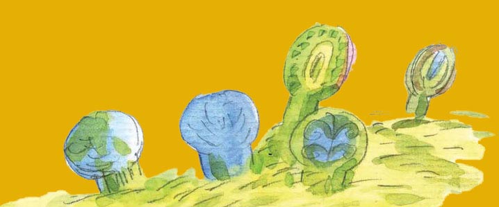<不一样的波波熊> (魔幻青草地)垃圾变成了动物 <不一样的波波熊> (魔幻青草地)垃圾变成了动物
