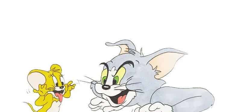 说猫话的老鼠和说鼠话的猫