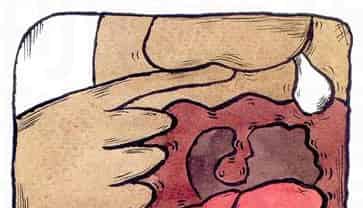 面包宝宝的魔法 面包宝宝的魔法