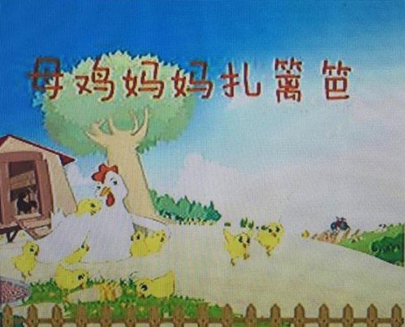 母鸡妈妈扎篱笆
