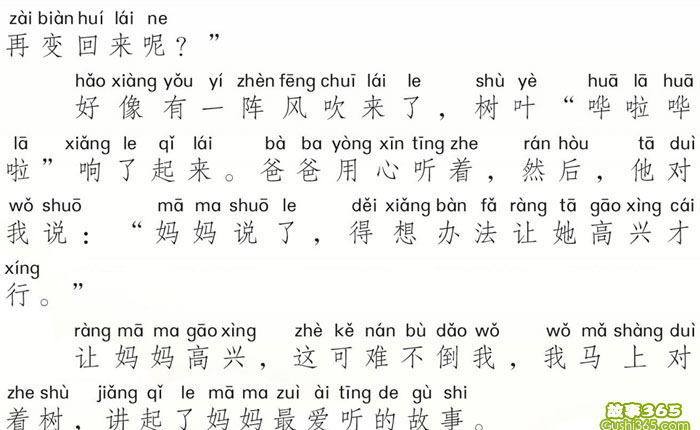 妈妈变成了一棵树