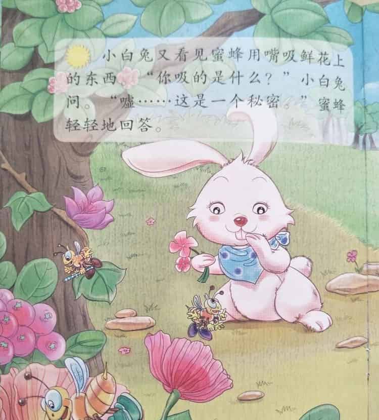 秘密是什么 秘密是什么