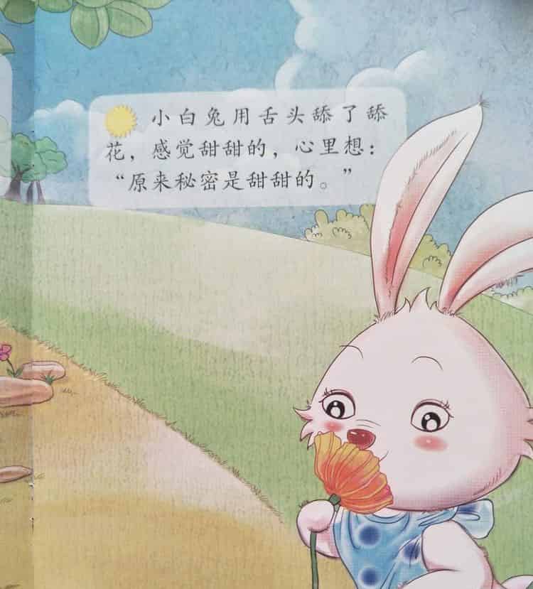 秘密是什么 秘密是什么