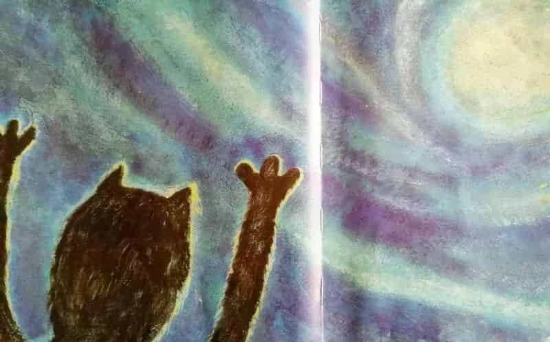 猫太噼哩噗噜在海里