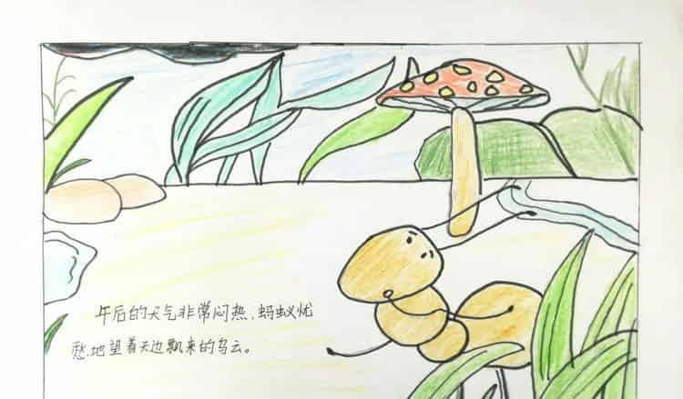 蚂蚁的蘑菇伞