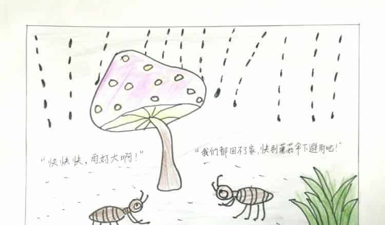 蚂蚁的蘑菇伞